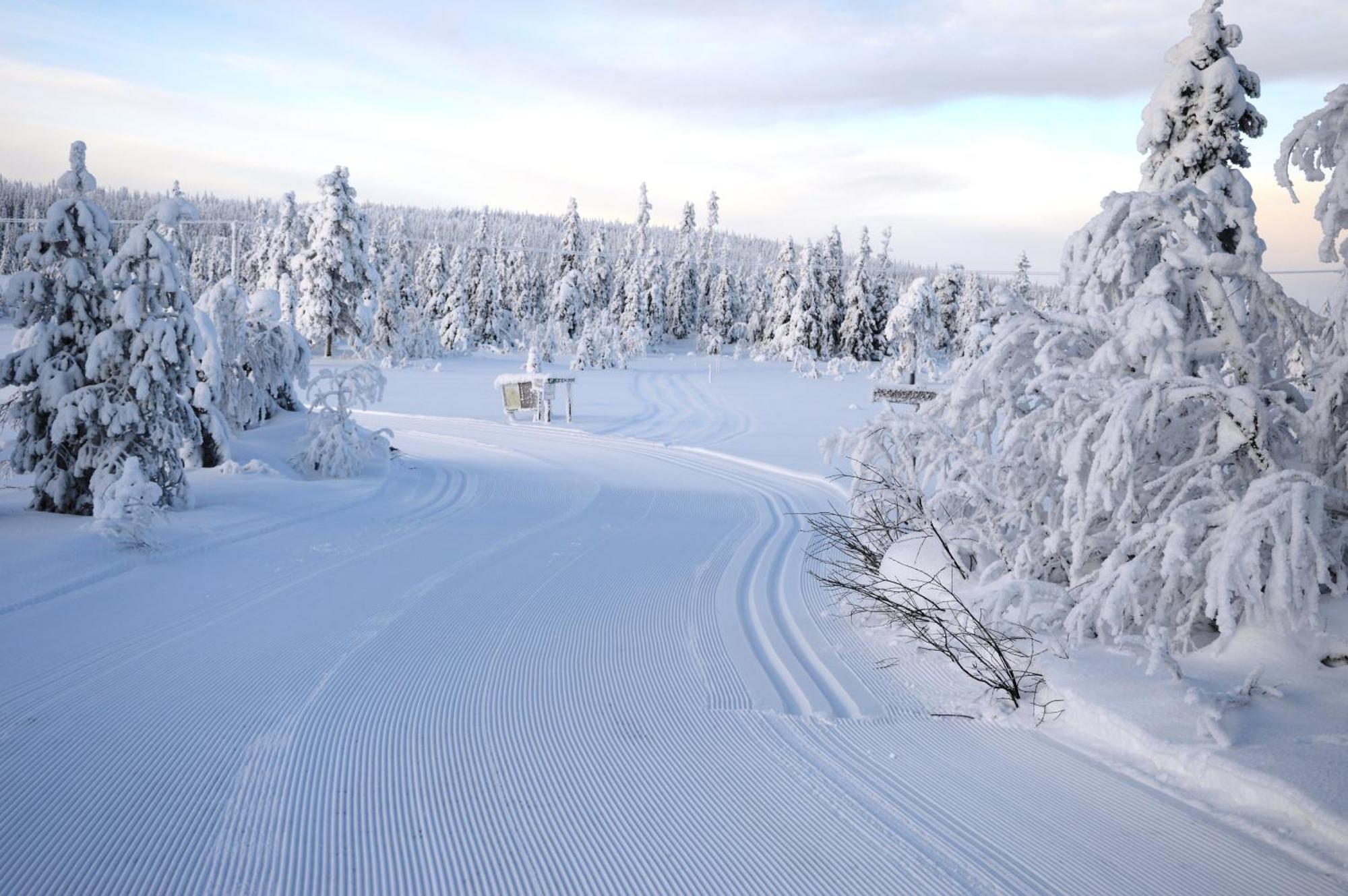 Hytte Anno 1721 Uten Internett, Strom, Vann - Men Med Rodmalt Utedo Ljørdal Exteriör bild