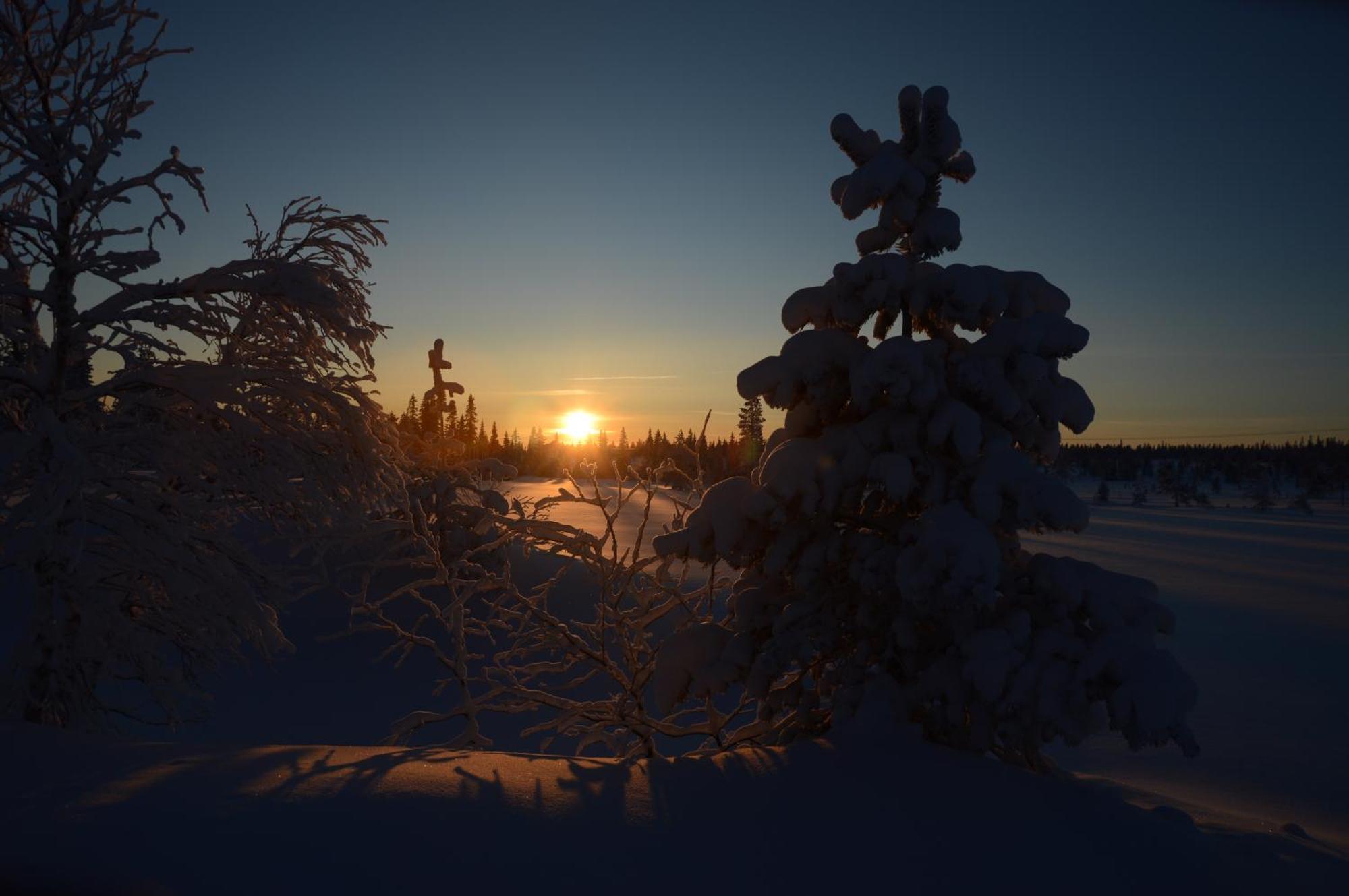 Hytte Anno 1721 Uten Internett, Strom, Vann - Men Med Rodmalt Utedo Ljørdal Exteriör bild