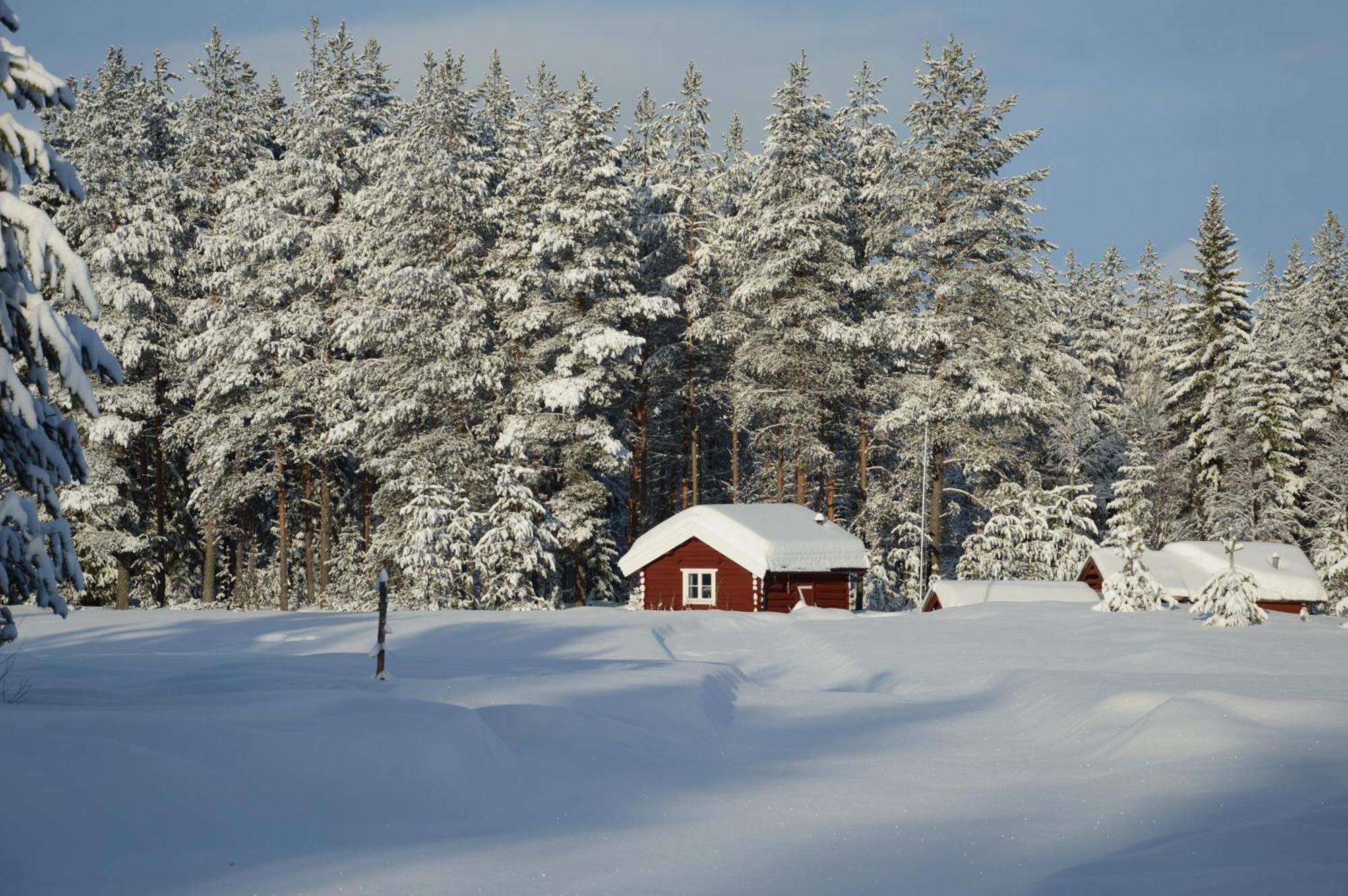 Hytte Anno 1721 Uten Internett, Strom, Vann - Men Med Rodmalt Utedo Ljørdal Exteriör bild