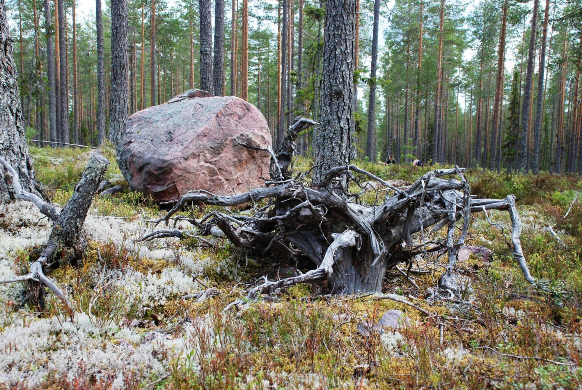 Hytte Anno 1721 Uten Internett, Strom, Vann - Men Med Rodmalt Utedo Ljørdal Exteriör bild