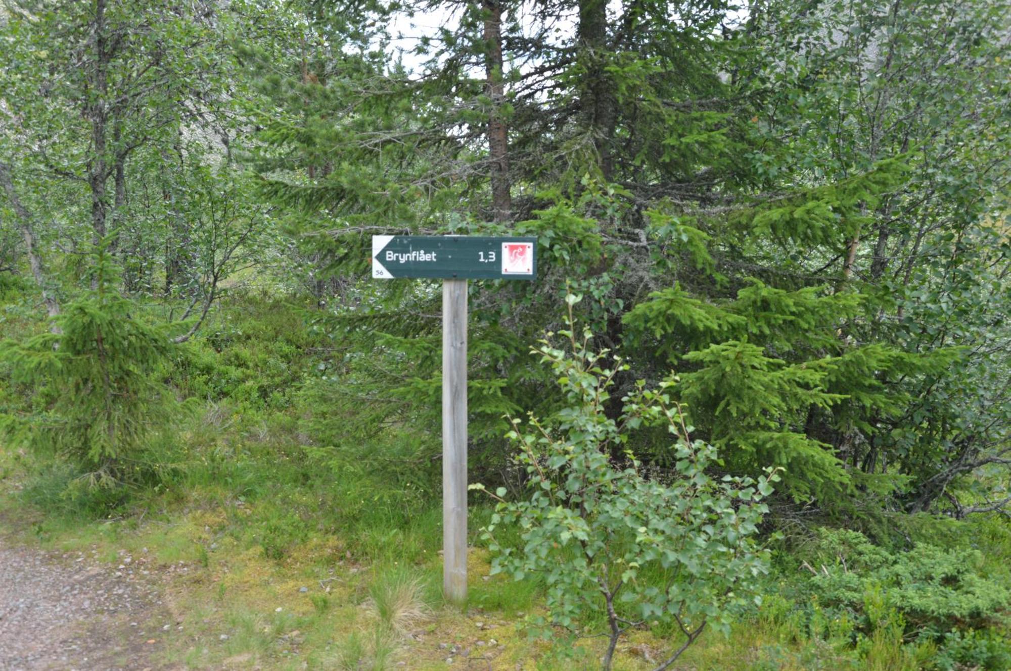 Hytte Anno 1721 Uten Internett, Strom, Vann - Men Med Rodmalt Utedo Ljørdal Exteriör bild